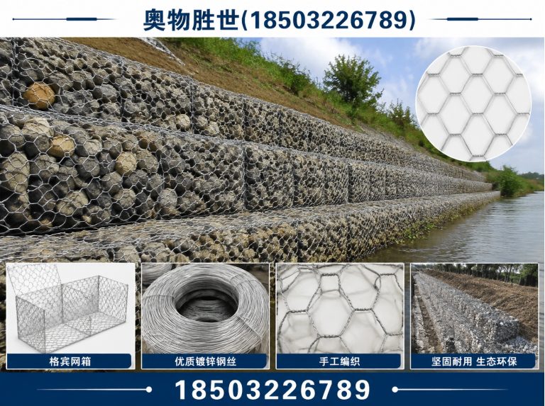 遂宁格宾网展示图